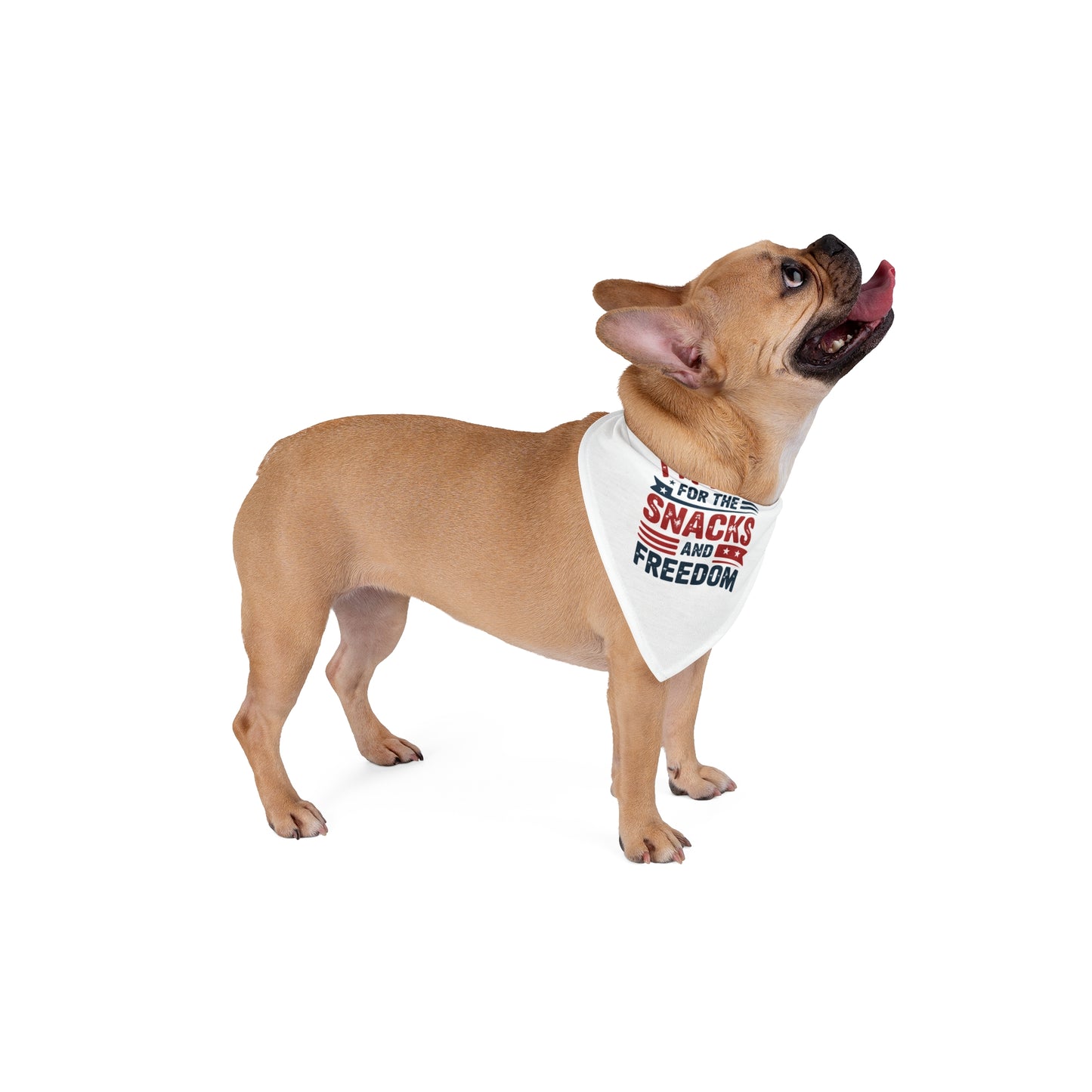Pet Bandana - "I'm Here for the Snacks and Freedom" Patriotic Dog Bandana (4th of July, Memorial Day)